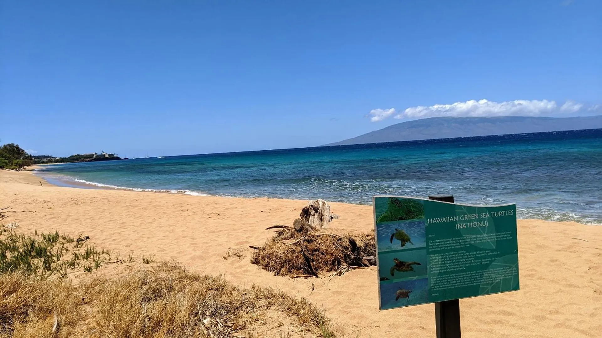 Appartamento Konea 505: 2 Bed/2 Bath, Ocean & Sunset Views Kahana Stati Uniti